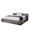 Furniture of America Janeiro Gray Queen Bed