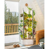 Gardyn 3.0 Hydroponics Growing System & Vertical Garden Planter Indoor Smart Garden