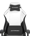 DXRacer Drifting Series Regular Egormic Gaming Chair Winter Edition